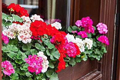 《来自深渊：朝向黑暗的双星》TVCM 9月2日正式发售